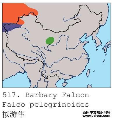 �������ĵ����ֲ�ͼ