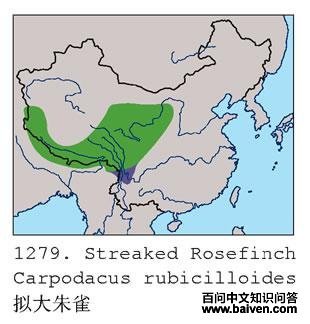 �����ȸ�ĵ����ֲ�ͼ