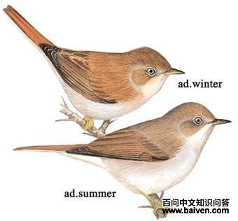 Į����ݺ��ͼ��