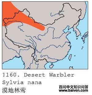 Į����ݺ�ĵ����ֲ�ͼ