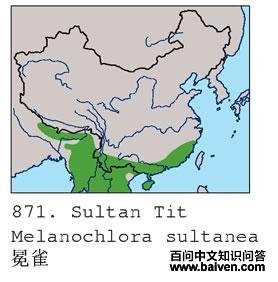 ��ȸ�ĵ����ֲ�ͼ