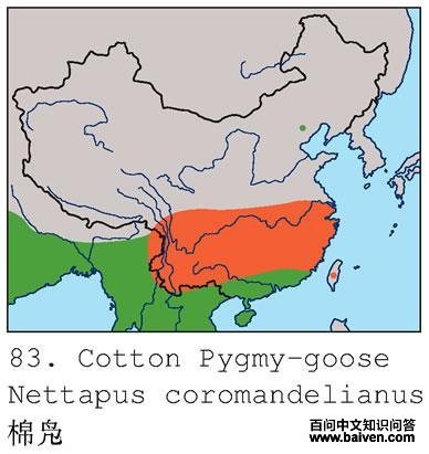 ����ĵ����ֲ�ͼ