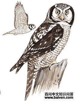 ���^��ͼ��