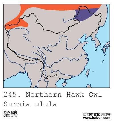 ���^�ĵ����ֲ�ͼ