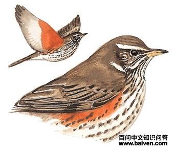 ��ü����ͼ��