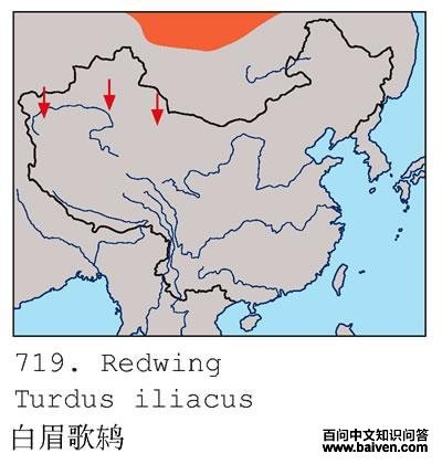 ��ü���ĵ����ֲ�ͼ