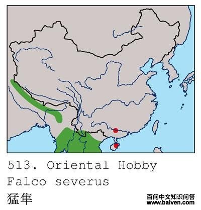 �����ĵ����ֲ�ͼ