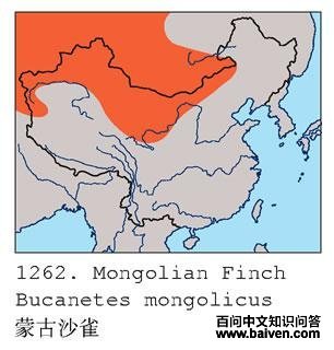 �ɹ�ɳȸ�ĵ����ֲ�ͼ