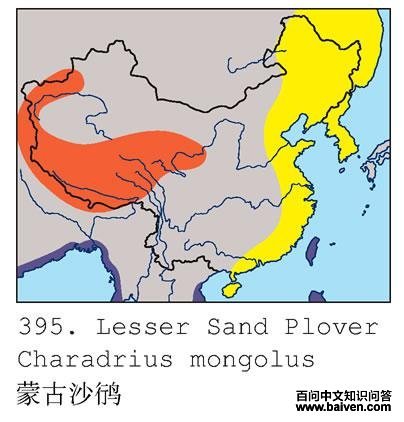 �ɹ�ɳ�a�ĵ����ֲ�ͼ