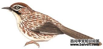 ì�Ʋ��̵�ͼ��