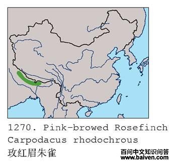 õ��ü��ȸ�ĵ����ֲ�ͼ