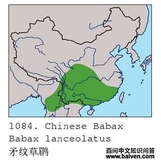 ì�Ʋ��̵ĵ����ֲ�ͼ