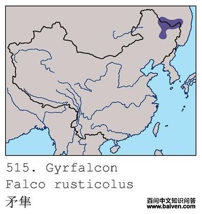 ì���ĵ����ֲ�ͼ