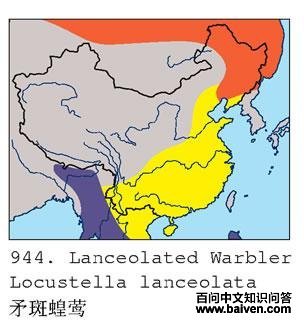 ì�߻�ݺ�ĵ����ֲ�ͼ