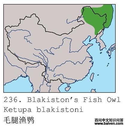 ë�����^�ĵ����ֲ�ͼ