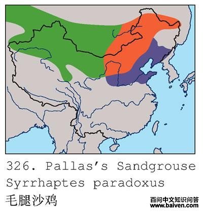 ë��ɳ���ĵ����ֲ�ͼ