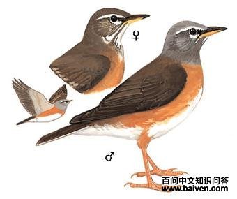 ��ü��ͼ��