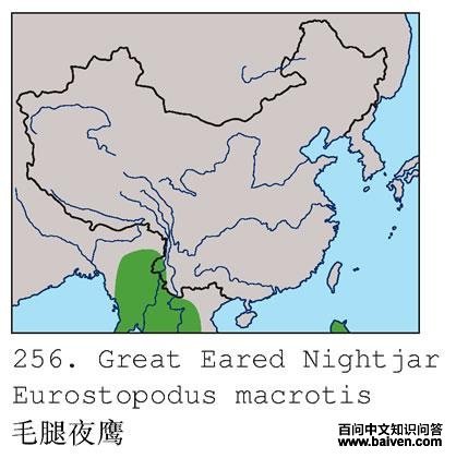 ë�ȶ�ҹӥ�ĵ����ֲ�ͼ