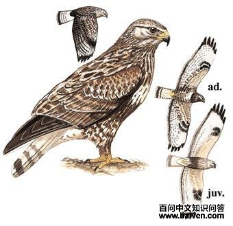 ë���\��ͼ��