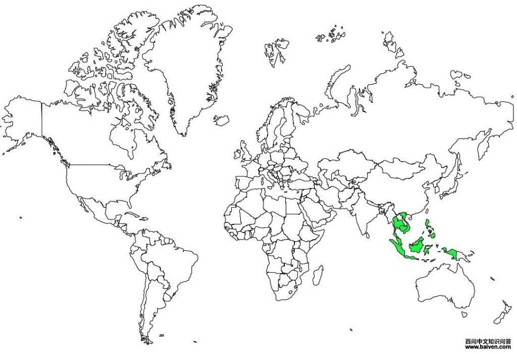 �����a�ĵ����ֲ�ͼ