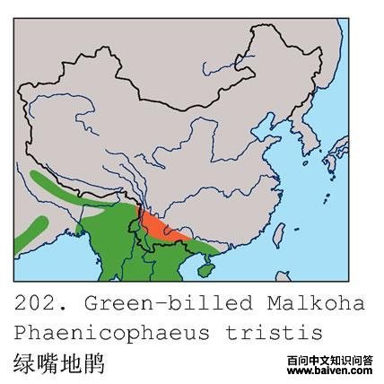 ����ؾ�ĵ����ֲ�ͼ