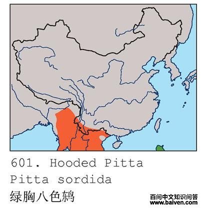 ���ذ�ɫ�ĵ����ֲ�ͼ