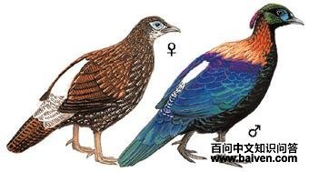 ��β������ͼ��