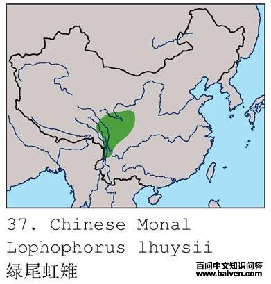 ��β�����ĵ����ֲ�ͼ