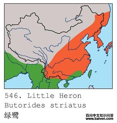 ���صĵ����ֲ�ͼ