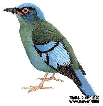 �̿�����ͼ��