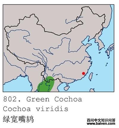 �̿����ĵ����ֲ�ͼ