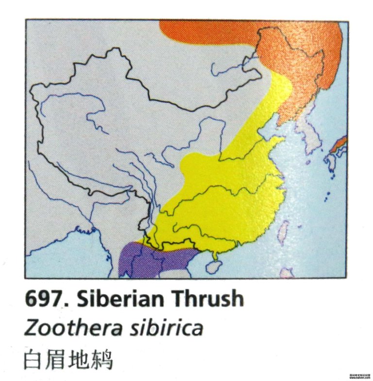 ��ü���ĵ����ֲ�ͼ