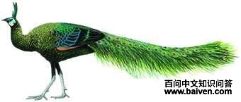 �̿�ȸ��ͼ��