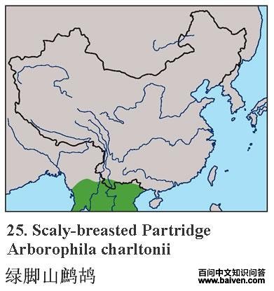 �̽�ɽ���ĵ����ֲ�ͼ