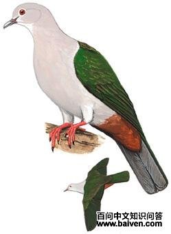 �̻���ͼ��