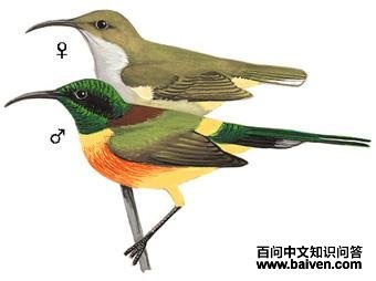 �̺�̫�����ͼ��