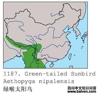 �̺�̫����ĵ����ֲ�ͼ