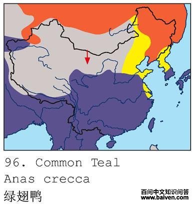 �̳�Ѽ�ĵ����ֲ�ͼ