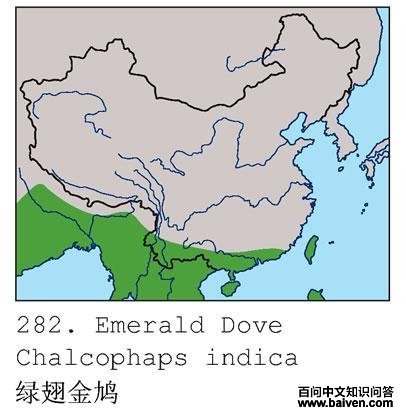 �̳���ĵ����ֲ�ͼ