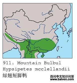 �̳�̽��ǵĵ����ֲ�ͼ