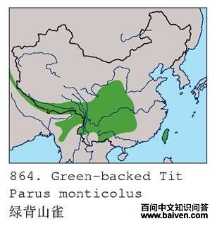 �̱�ɽȸ�ĵ����ֲ�ͼ