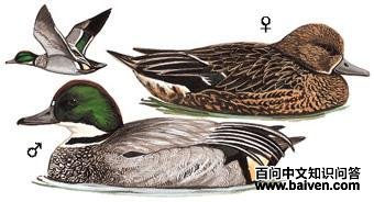 ����Ѽ��ͼ��