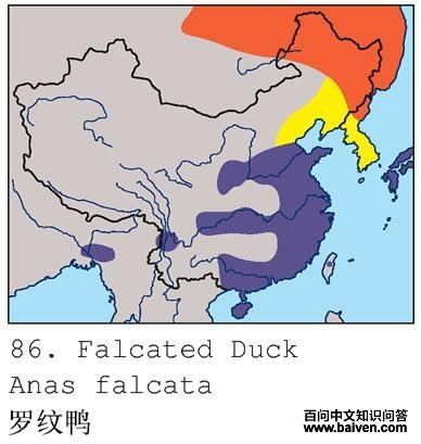 ����Ѽ�ĵ����ֲ�ͼ