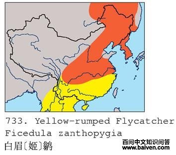 ��ü[��]�l�ĵ����ֲ�ͼ