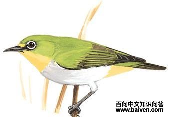 �����������ͼ��