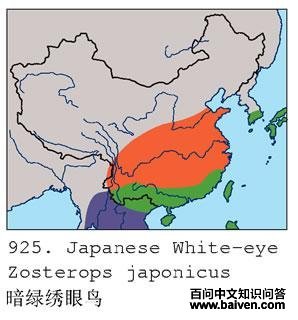 ����������ĵ����ֲ�ͼ