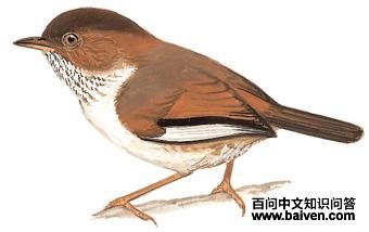 ·��ȸ�̵�ͼ��