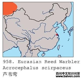 «έݺ�ĵ����ֲ�ͼ