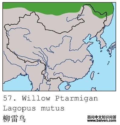 ������ĵ����ֲ�ͼ