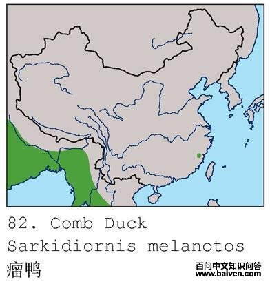 ��Ѽ�ĵ����ֲ�ͼ